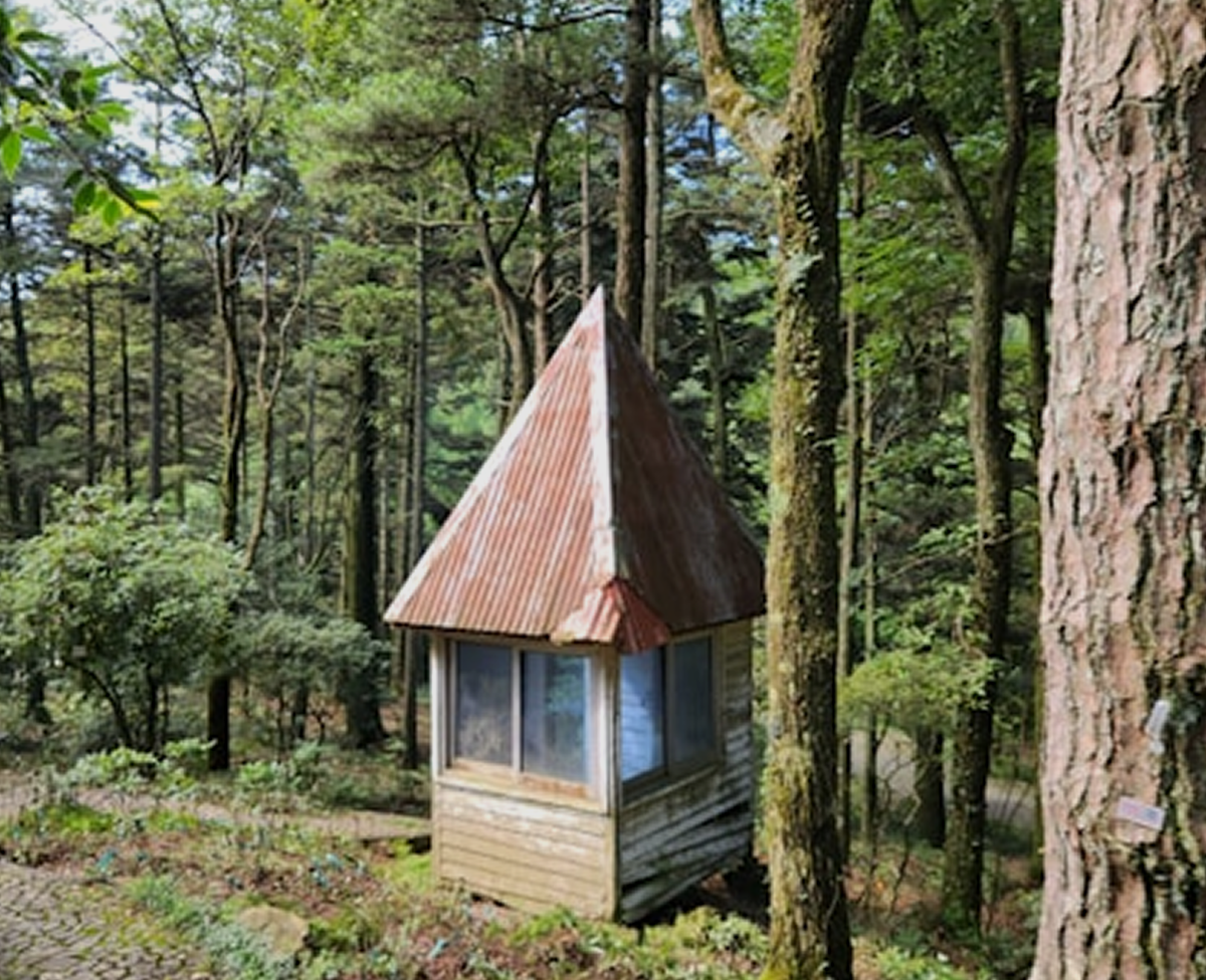 Skoglar Treehouse